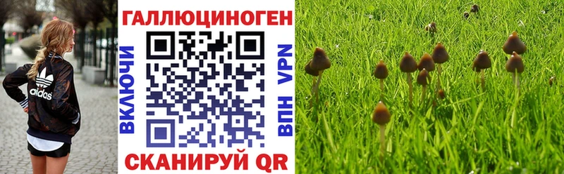 Галлюциногенные грибы Psilocybine cubensis  Славск 